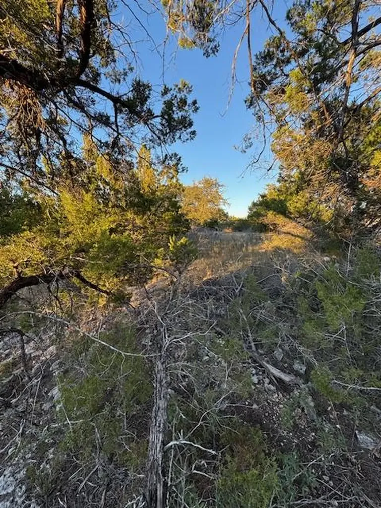 6802 Cedar Ridge Circle Lago Vista TX 78645
