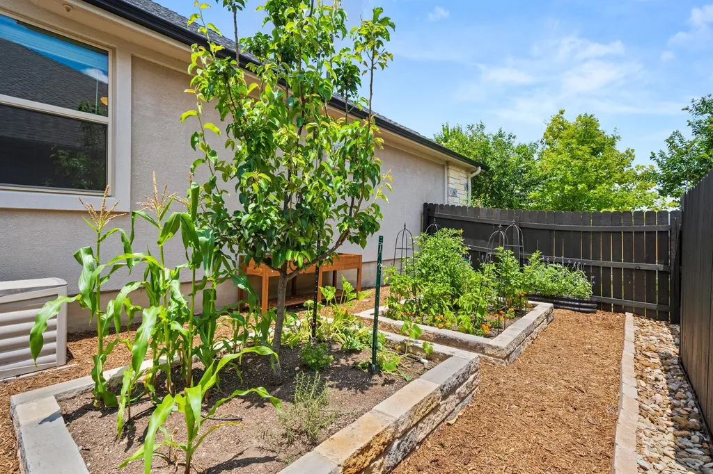 141 Falabella Trail Georgetown TX 78626