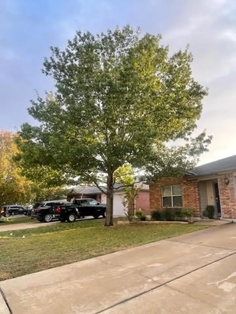 280 Spruce Drive Kyle TX 78640