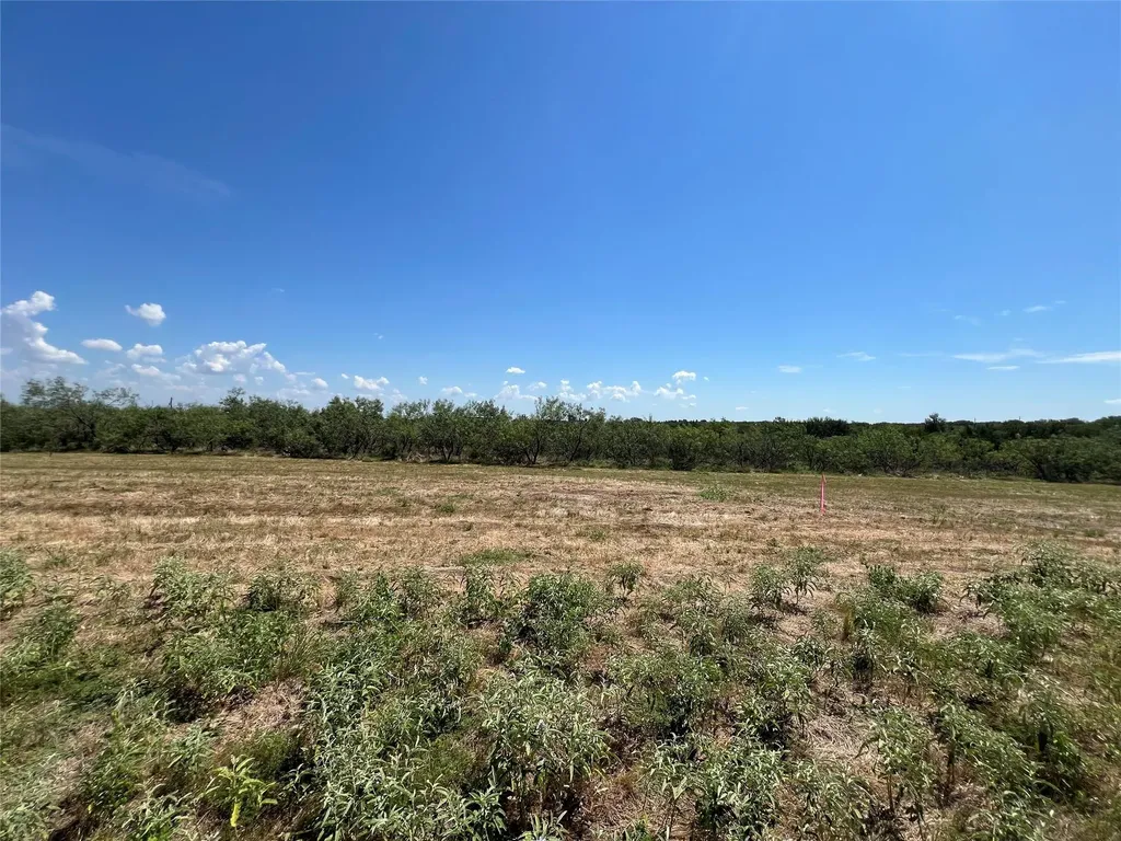 2614 Cr 466 Elgin TX 78621