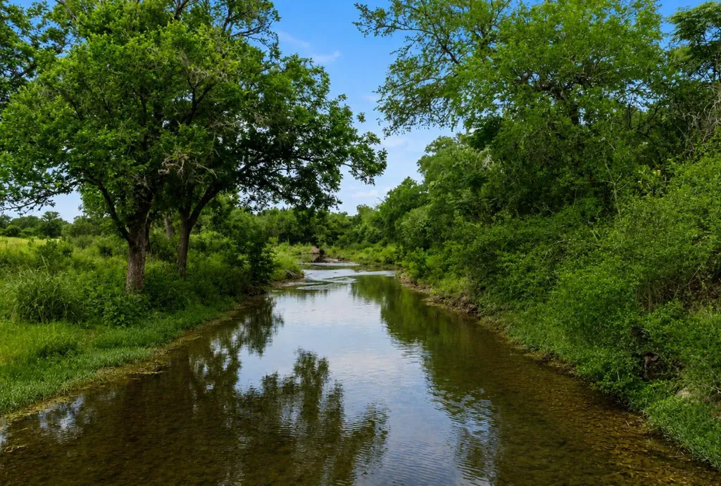14440 Nutty Brown Road Austin TX 78737