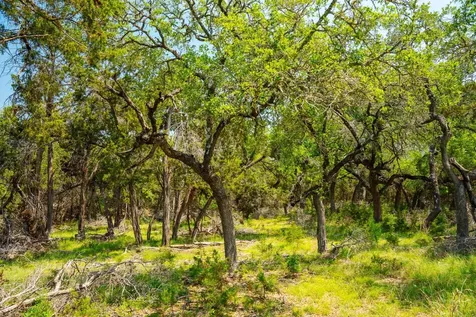 3230 W Fitzhugh Road Dripping Springs TX 78620