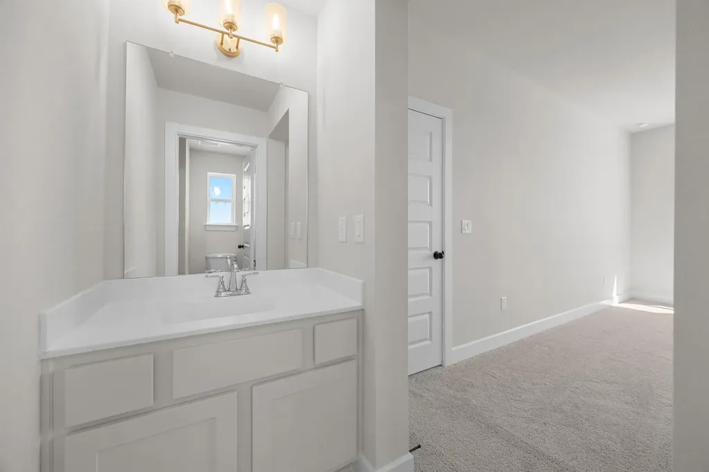 903 Sheepdog Cove Liberty Hill TX 78642