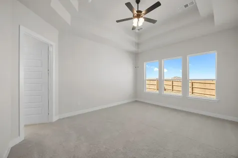 903 Sheepdog Cove Liberty Hill TX 78642
