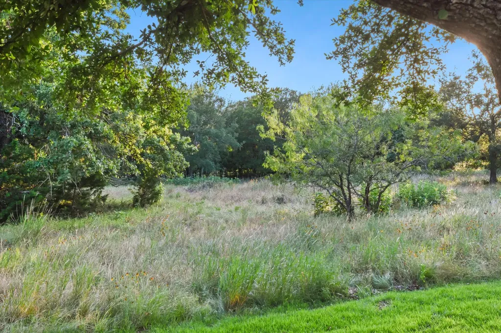 111 Bonham Loop Georgetown TX 78633