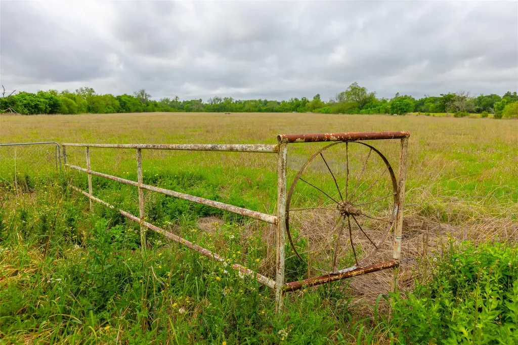 18.45 Acres Fm 1660 Taylor TX 76574