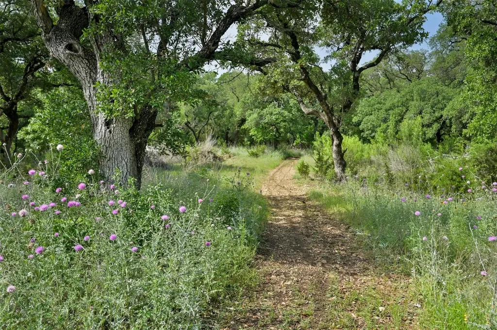 437 Rusk Bluff Avenue Leander TX 78641