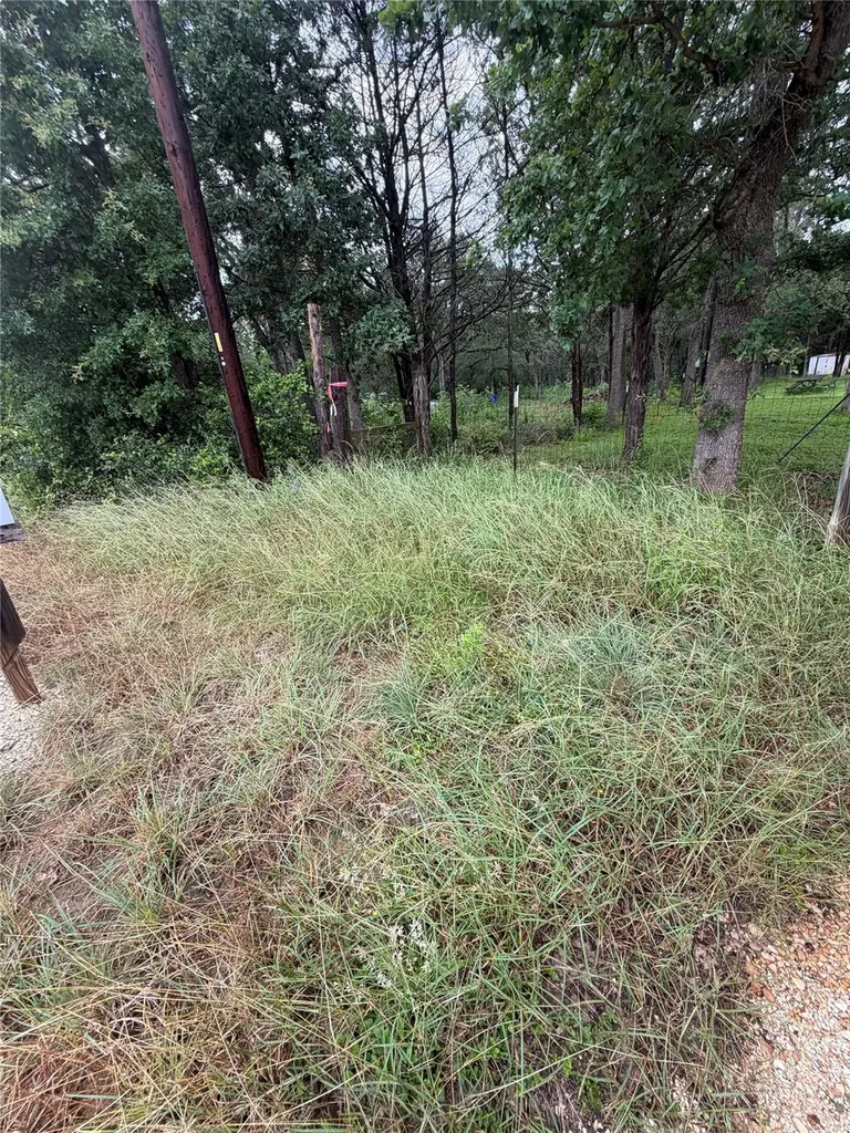 214 The Forest Road Dale TX 78616