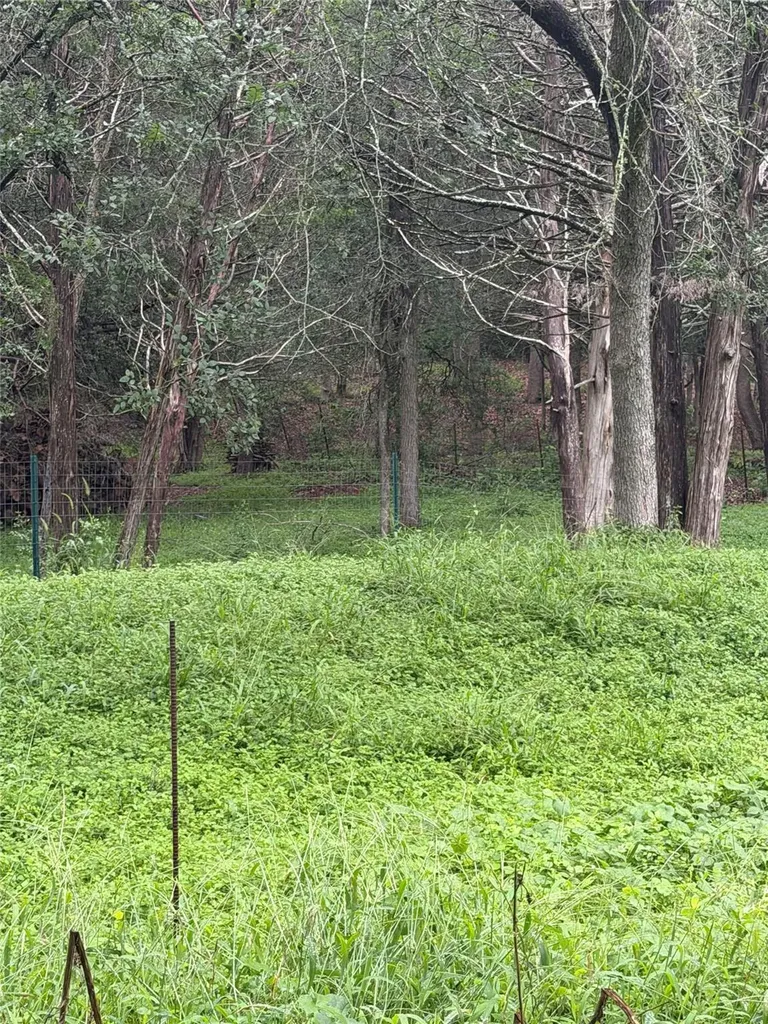 214 The Forest Road Dale TX 78616
