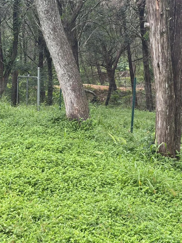 214 The Forest Road Dale TX 78616