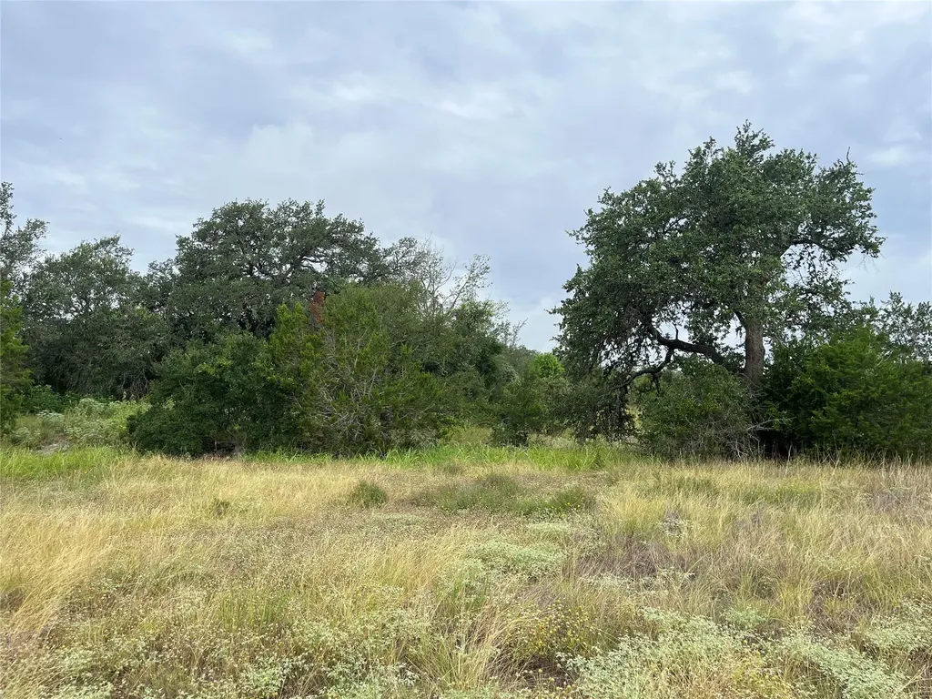 0 Arbor Trail Buda TX 78610