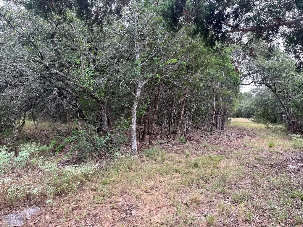 0 Arbor Trail Buda TX 78610
