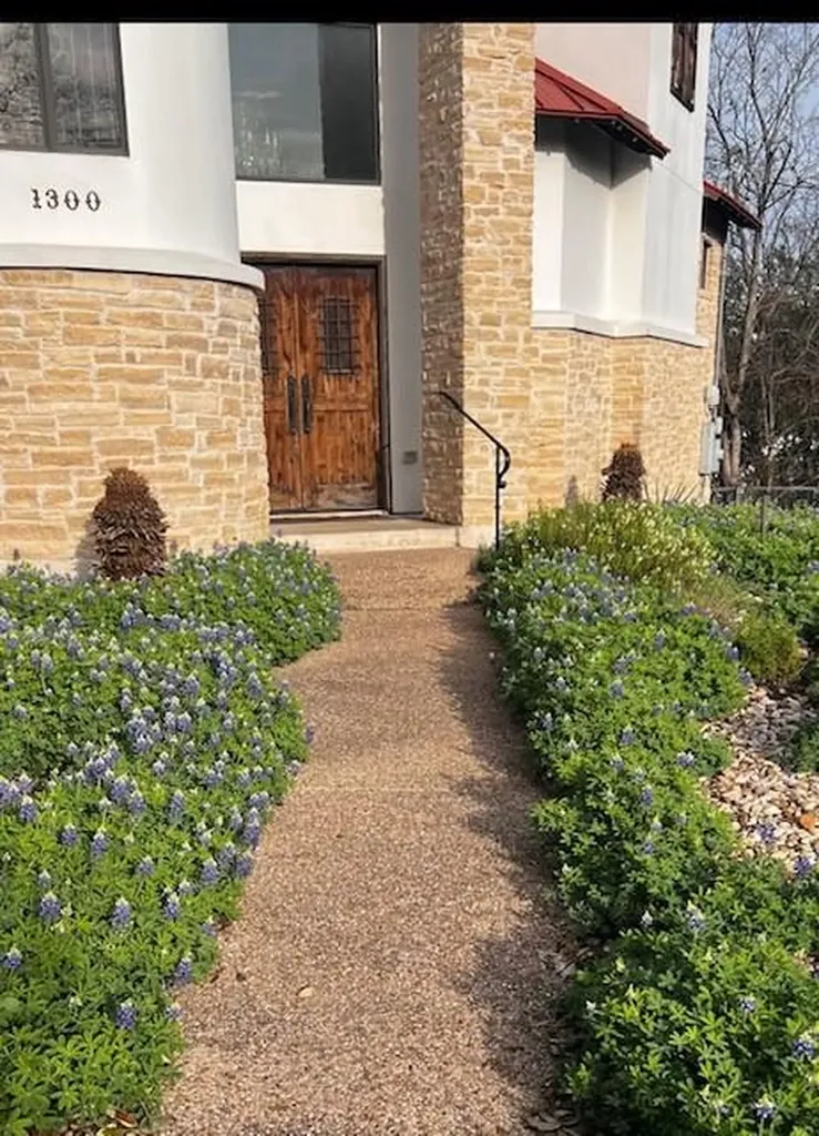 1300 Bluff Street Austin TX 78704