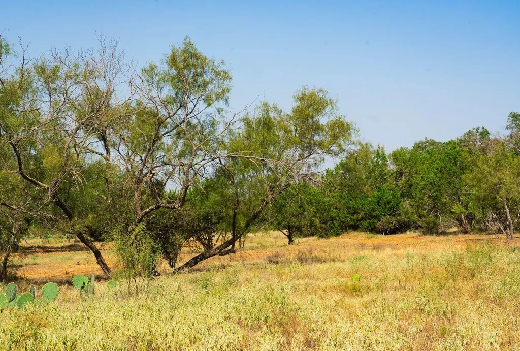 0000 Old Ferry Road Spicewood TX 78669