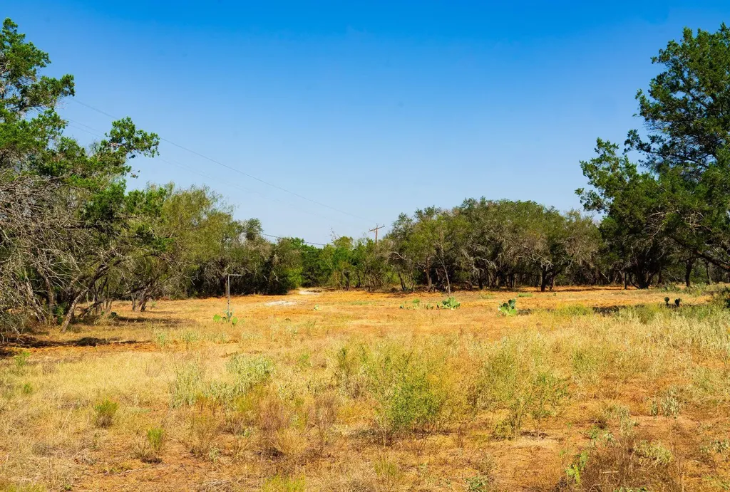 0000 Old Ferry Road Spicewood TX 78669