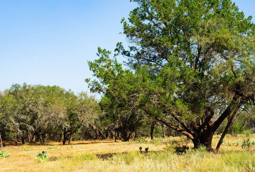 0000 Old Ferry Road Spicewood TX 78669