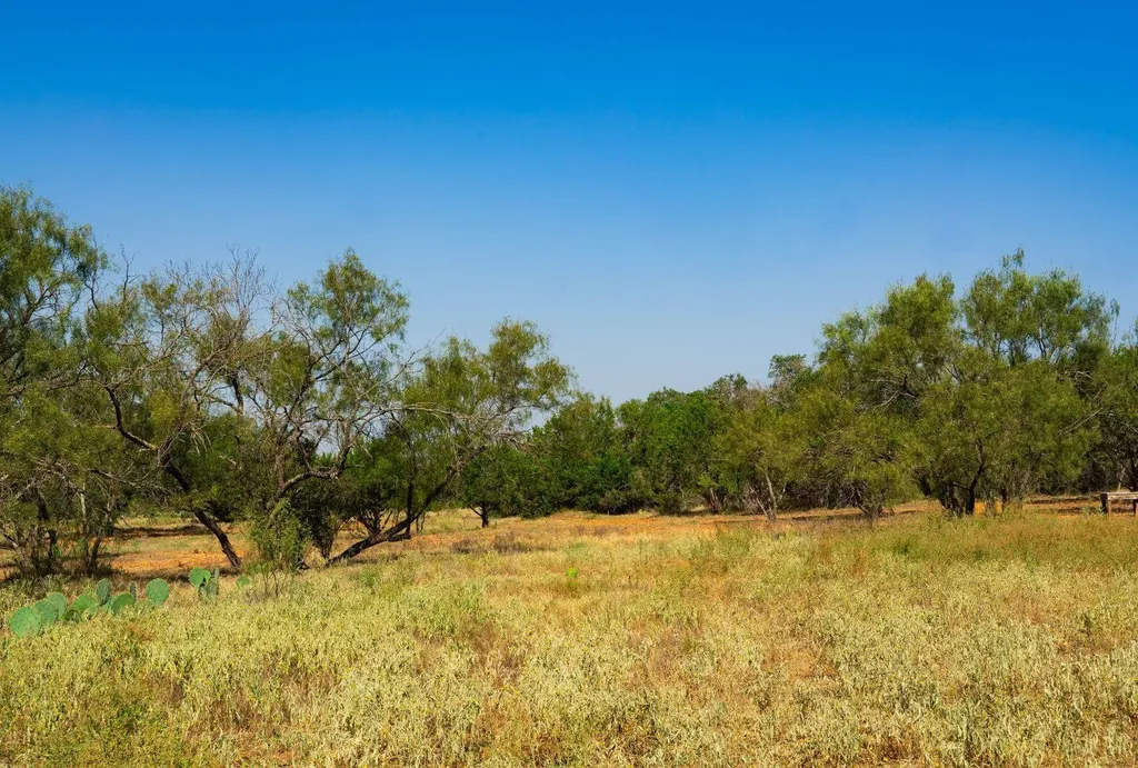 0000 Old Ferry Road Spicewood TX 78669