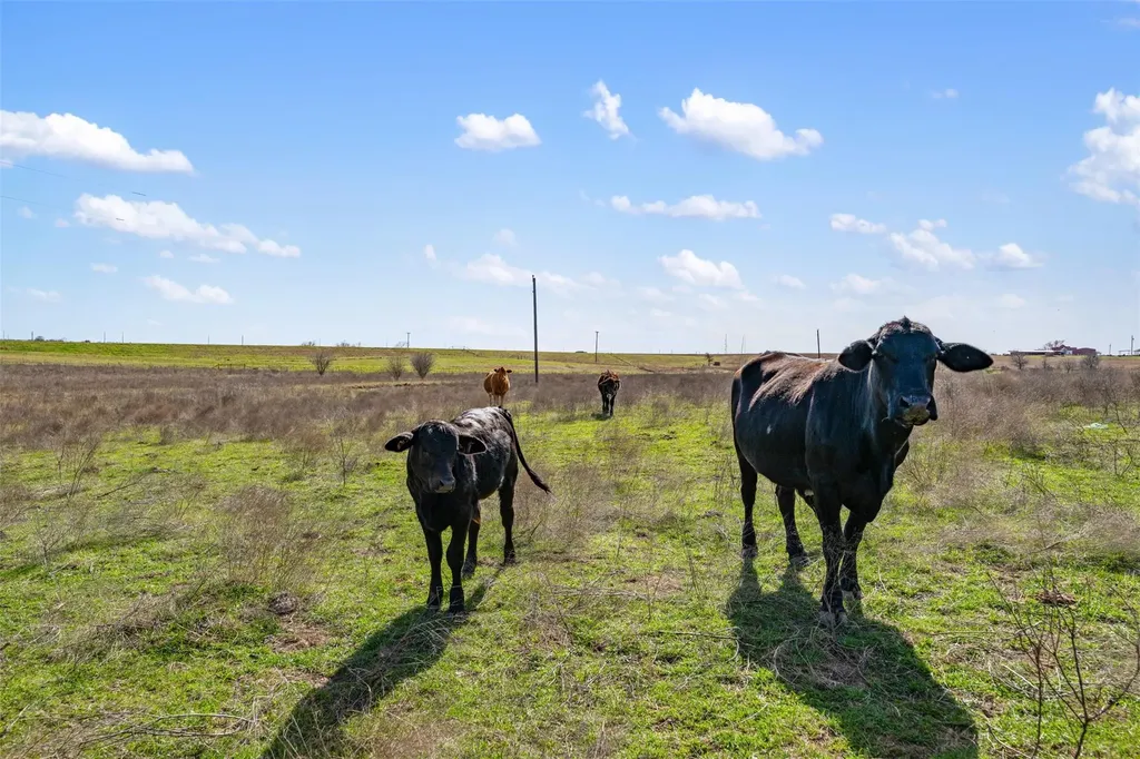 700 County Road 466 Elgin TX 78621