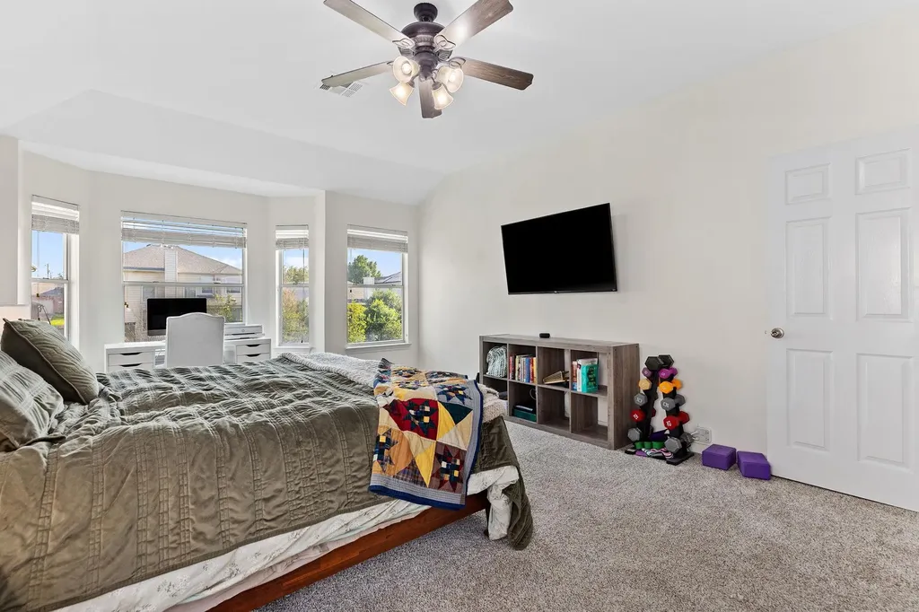 3517 Shiraz Loop Round Rock TX 78665