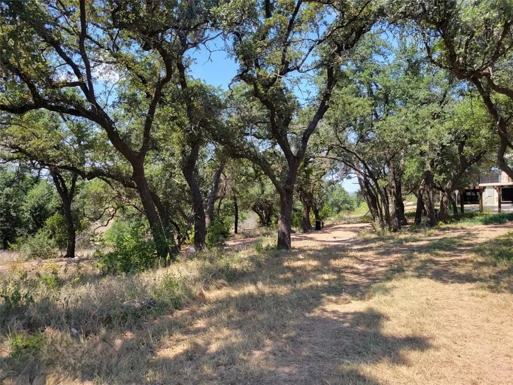 242 Freeman Loop Freeman Loop Liberty Hill TX 78642