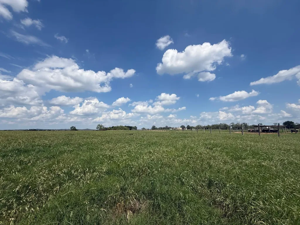 5309 Tenney Creek Road Luling TX 78648