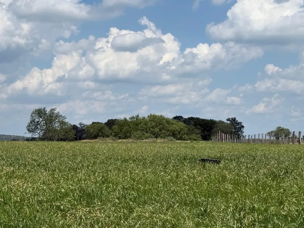 5309 Tenney Creek Road Luling TX 78648