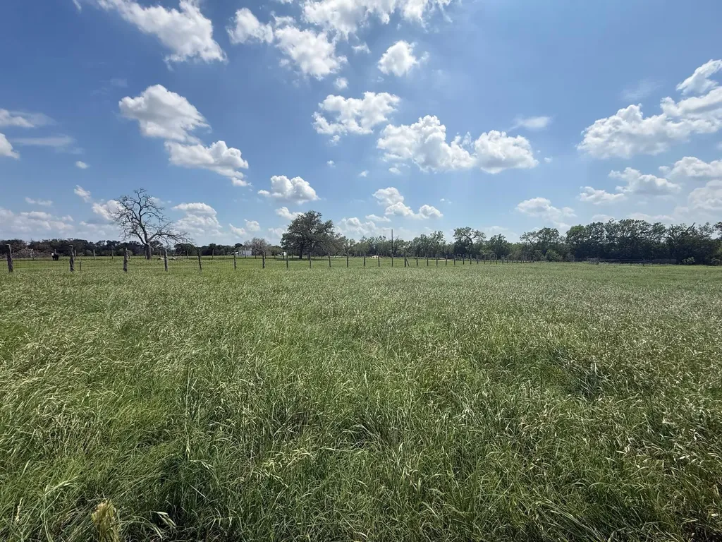 5309 Tenney Creek Road Luling TX 78648