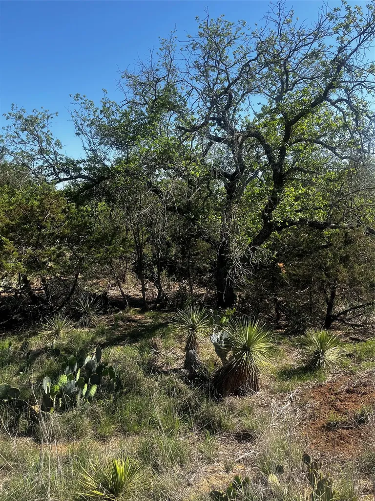 0 Castlebriar Street Granite Shoals TX 78654