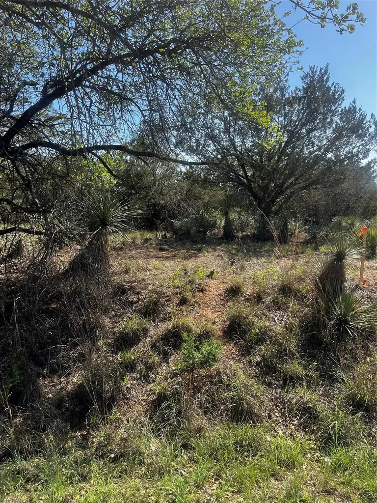 0 Castlebriar Street Granite Shoals TX 78654