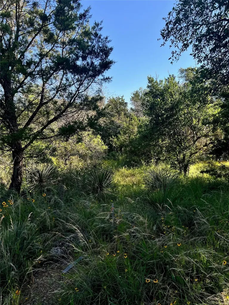 Tbd Castlelake Drive Granite Shoals TX 78654