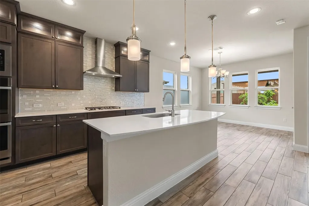 17233 Borromeo Avenue Pflugerville TX 78660