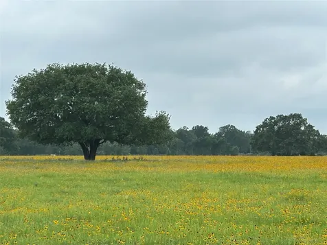Tbd Lot 5 County Road 127 Road Ledbetter TX 78946
