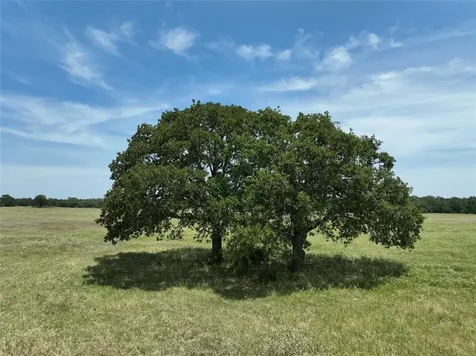 Tbd Lot 5 County Road 127 Road Ledbetter TX 78946