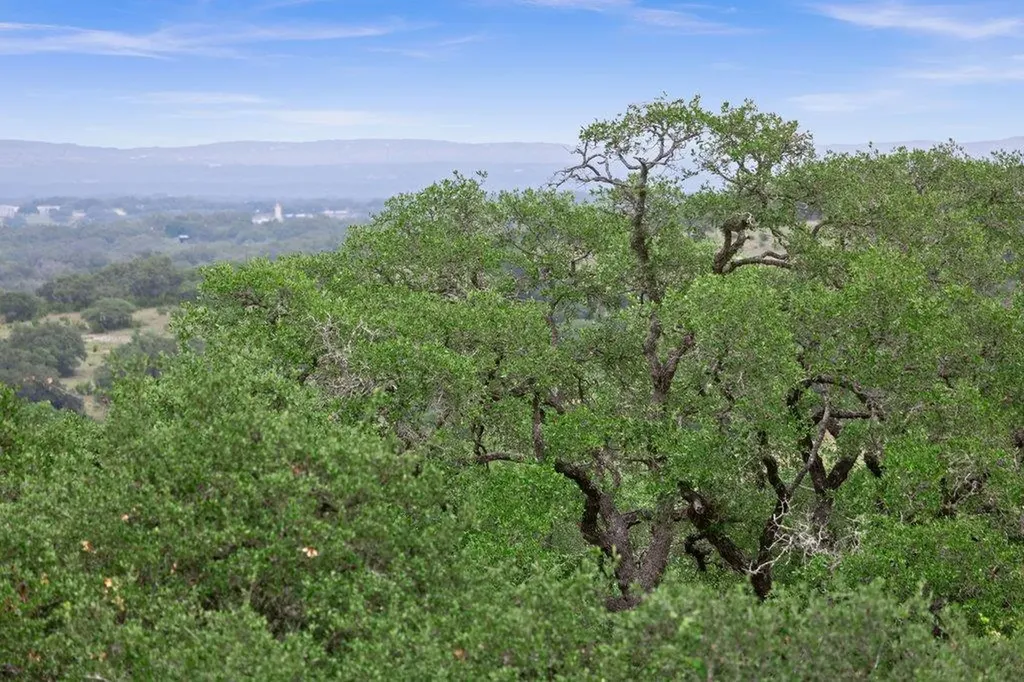 292 N Scenic Hills Court Blanco TX 78606