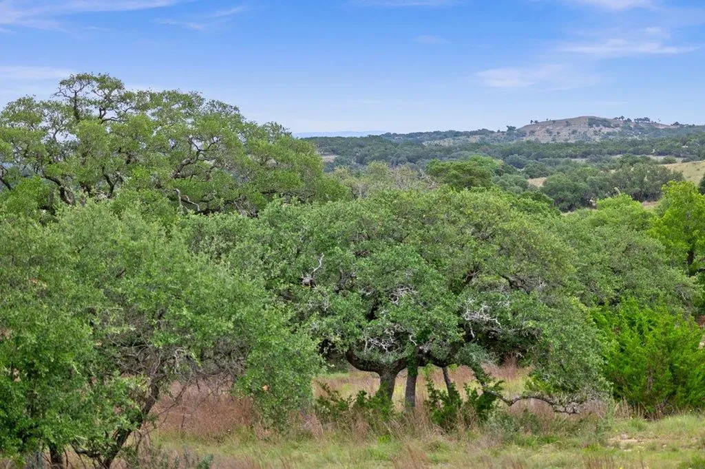 292 N Scenic Hills Court Blanco TX 78606