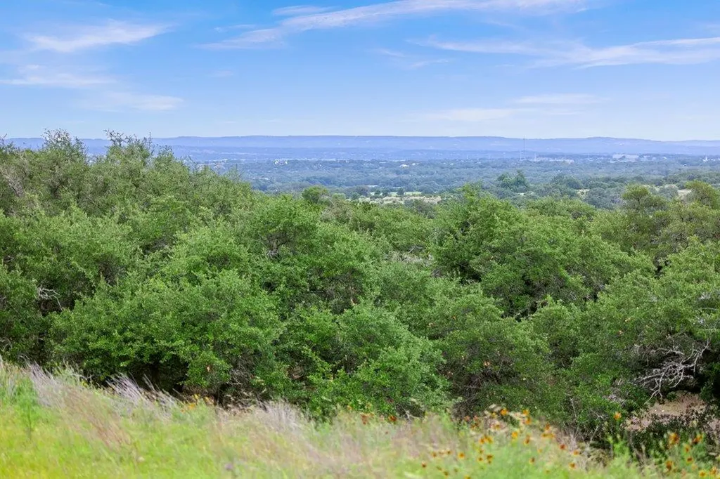 292 N Scenic Hills Court Blanco TX 78606