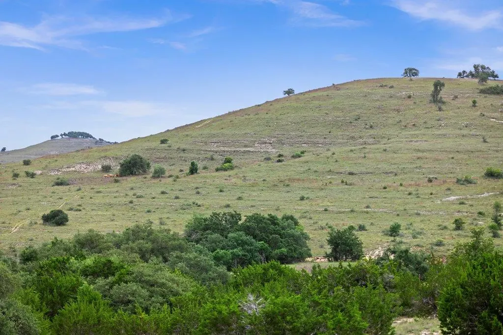 292 N Scenic Hills Court Blanco TX 78606