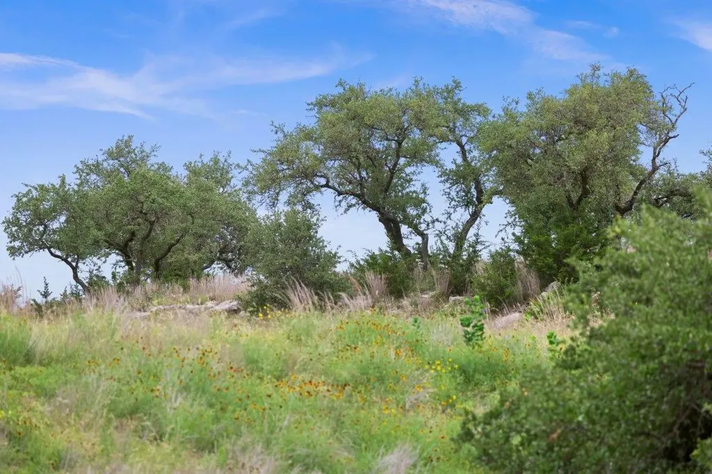 292 N Scenic Hills Court Blanco TX 78606