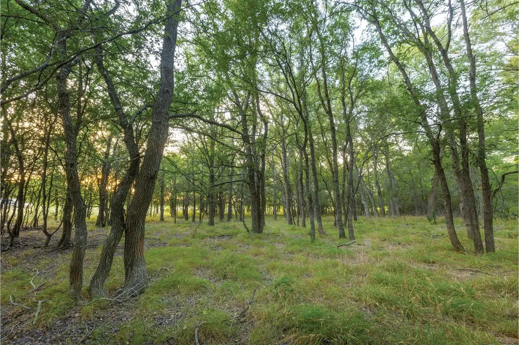 498 N County Line Road Elgin TX 78621