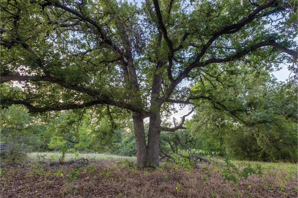 498 N County Line Road Elgin TX 78621