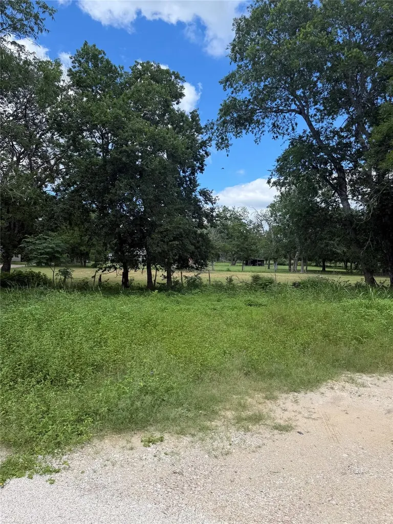 Tbd Crockett Street Martindale TX 78655