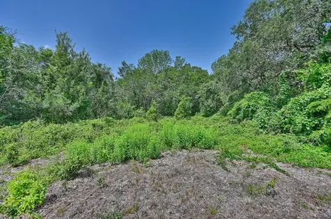 Tbd Fm 2981 Fayetteville TX 78940