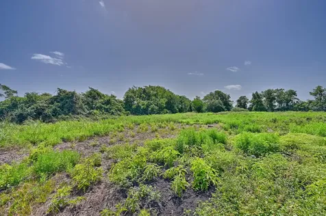 Tbd Fm 2981 Fayetteville TX 78940