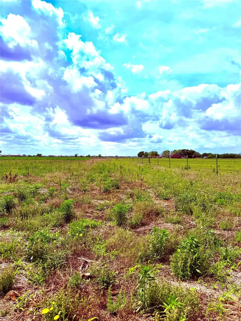 4421 Polak Road Orchard TX 77485