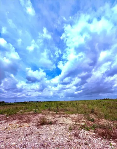 4421 Polak Road Orchard TX 77485