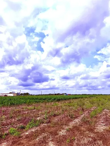 4421 Polak Road Orchard TX 77485
