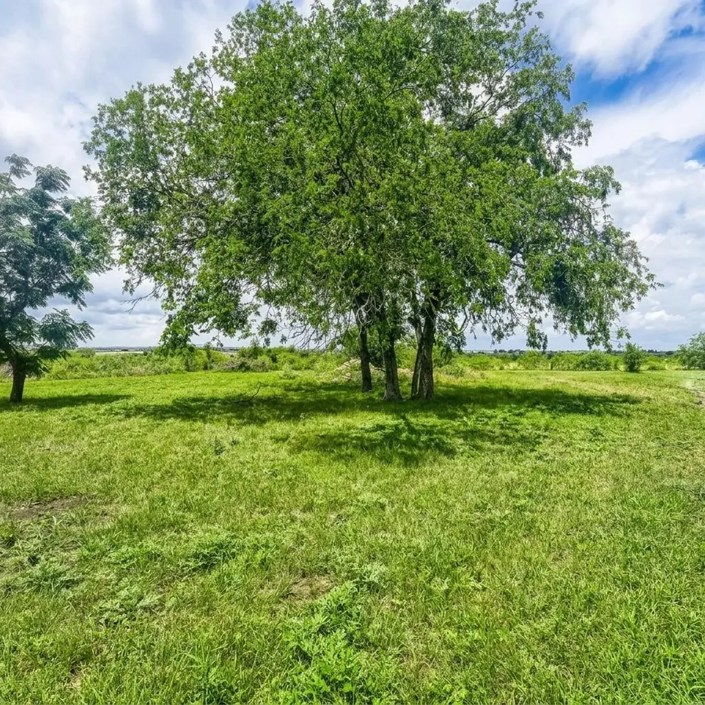 14520 Bois D Arc Lane Manor TX 78653