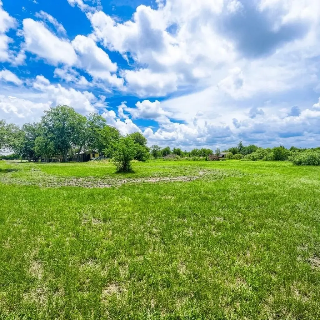 14520 Bois D Arc Lane Manor TX 78653