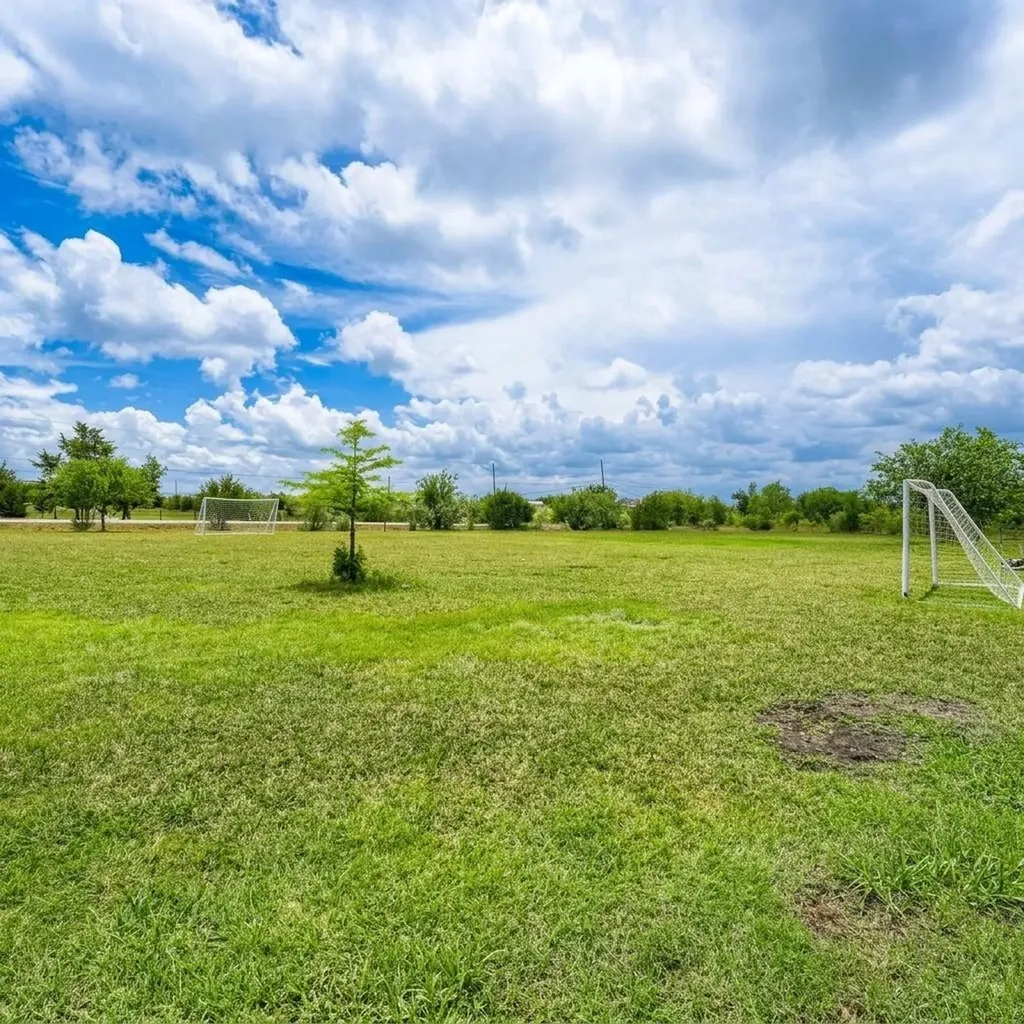 14520 Bois D Arc Lane Manor TX 78653