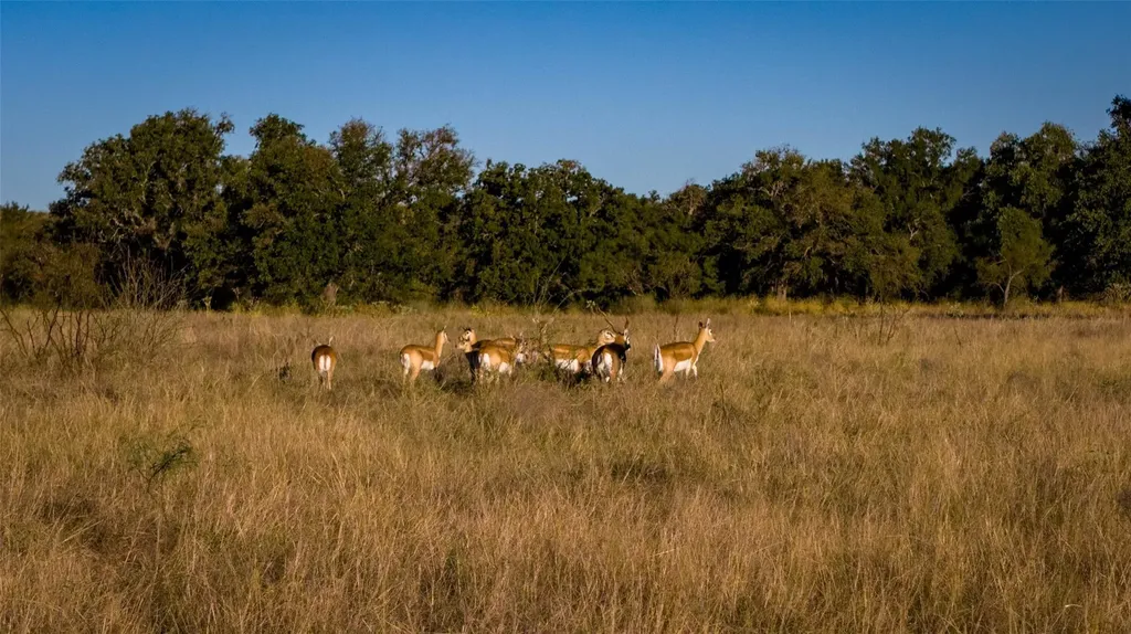 7702 Ranch Road 965 Llano TX 78624